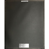 Winger debut RIAA Platinum Album Award - Record Award