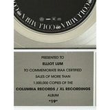 Adele 19 RIAA Platinum Album Award - Record Award