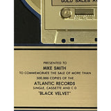 Alannah Myles Black Velvet RIAA Gold Single Award - Record Award
