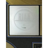 Big Audio Dynamite II The Globe RIAA Gold Album Award - Record Award