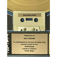 Billy Idol Vital Idol RIAA Gold Album Award - Record Award