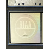 Brian McKnight Back At One RIAA 2x Multi-Platinum Album Award - Record Award
