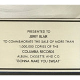 C+C Music Factory Gonna Make You Sweat RIAA Platinum Album Award - Record Award