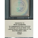 Daughtry Home RIAA Digital Single Award - Record Award