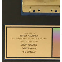 Divinyls debut RIAA Gold Album Award - Record Award