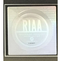 Garth Brooks Special 100M Multi-Platinum RIAA Award - RARE - Record Award
