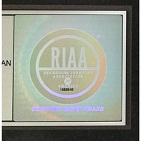 Guns N’ Roses Appetite For Destruction RIAA 18x Multi-Platinum LP Award - Record Award