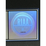 Guns N’ Roses Appetite For Destruction RIAA Platinum LP Award - Record Award