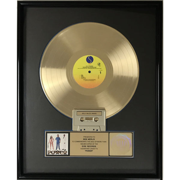 Ice-T Power RIAA Gold LP Award - Record Award