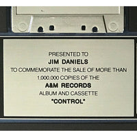 Janet Jackson Control RIAA Platinum LP Award - Record Award
