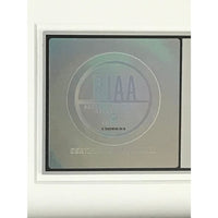 Kid Rock Born Free RIAA Platinum Award - Record Award
