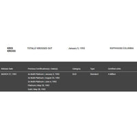 Kris Kross Totally Krossed Out RIAA 2x Multi-Platinum Album Award - Record Award