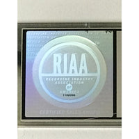 Lenny Kravitz 5 RIAA 2x Multi-Platinum Album Award - Record Award