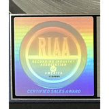 Macy Gray On How Life Is RIAA 3x Multi-Platinum Album Award - Record Award