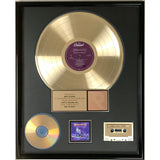 Megadeth Rust In Peace RIAA Gold LP Award - Record Award
