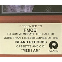 Melissa Etheridge Yes I Am Island Records label award - Record Award