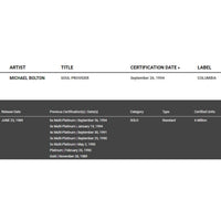 Michael Bolton Soul Provider RIAA Platinum Album Award - Record Award