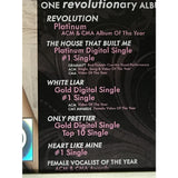 Miranda Lambert Revolution & The House That Built Me RIAA Platinum Award - Record Award