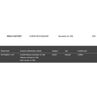 Molly Hatchet Flirtin’ With Disaster RIAA Platinum LP Award - Record Award