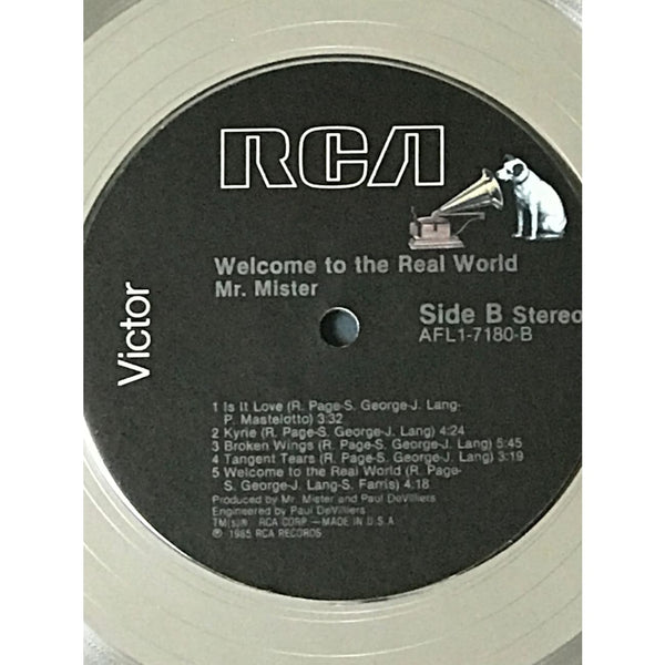 MR.MISTER / WelcomeToTheRealWorld スコア Mr.ミスター バンドスコア MR.MISTER LP「ウエルカム・トゥ・ザ