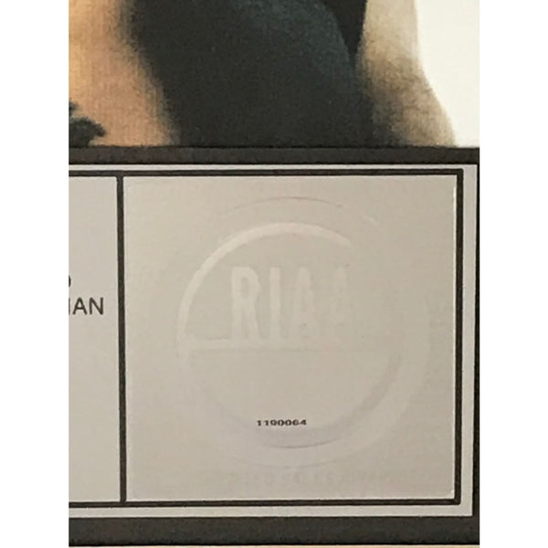 Nelly Rapper Albums Nelly Country Grammar Album Cover
