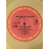 New Kids On The Block Hangin’ Tough RIAA Gold Album Award