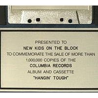 New Kids On The Block Hangin’ Tough RIAA Platinum LP Award presented to NKOTB - RARE - Record Award