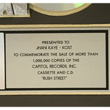 Richard Marx Rush Street RIAA Platinum Album Award - Record Award