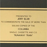 Soul Asylum Runaway Train RIAA Gold Single Award - Record Award