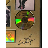 Steven Curtis Chapman RIAA Gold Multi-Album Award - Record Award