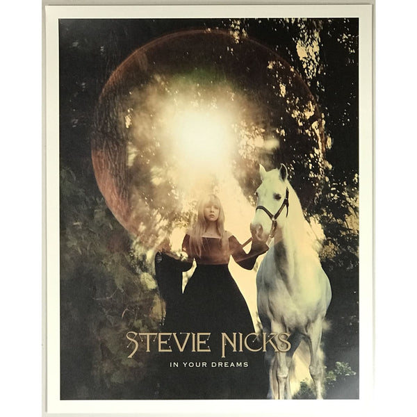 Stevie Nicks In Your Dreams 2011 Poster - Poster