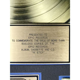 Stevie Ray Vaughan In Step RIAA Gold LP Award