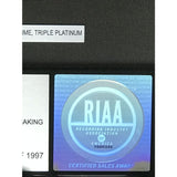 Sublime self-titled RIAA 3x Multi-Platinum Award - Record Award