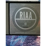 Taylor Swift debut RIAA Platinum Album Award