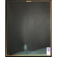 The Offspring Ixnay On The Hombre RIAA Platinum Album Award - Record Award