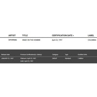 The Offspring Ixnay On The Hombre RIAA Platinum Album Award - Record Award