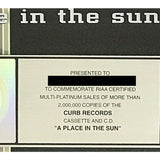 Tim McGraw A Place In The Sun RIAA 2x Multi-Platinum Album Award - Record Award