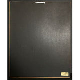 Whitney Houston debut RIAA Platinum LP Award - Record Award